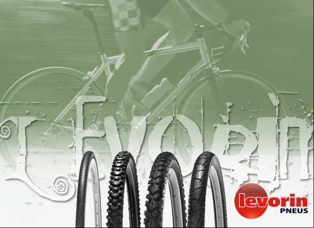 wp_levorin_ciclo_1024x768